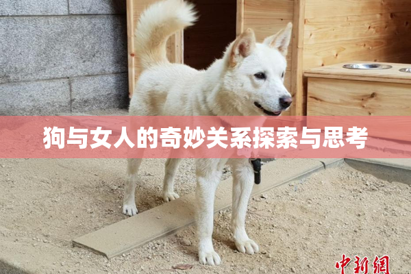狗与女人的奇妙关系探索与思考