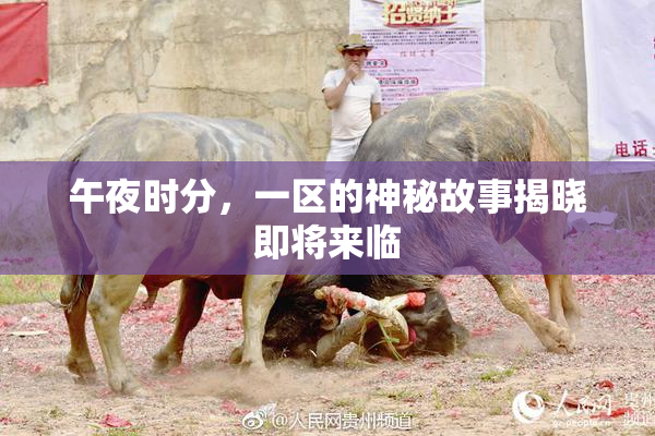 午夜时分，一区的神秘故事揭晓即将来临