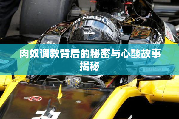 肉奴调教背后的秘密与心酸故事揭秘