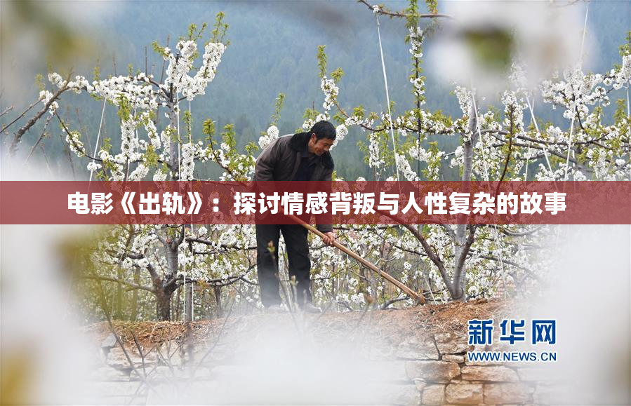 电影《出轨》：探讨情感背叛与人性复杂的故事