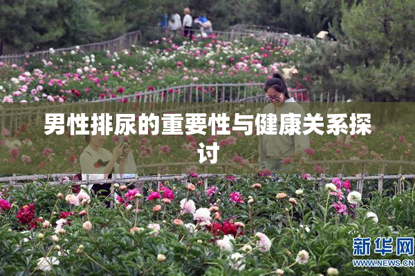 男性排尿的重要性与健康关系探讨