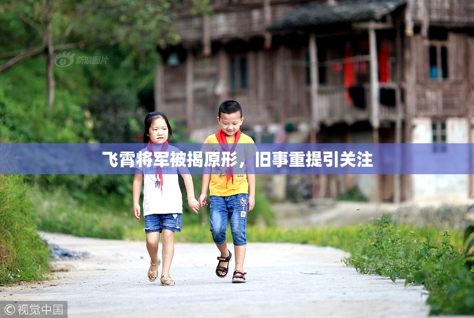 飞霄将军被揭原形，旧事重提引关注