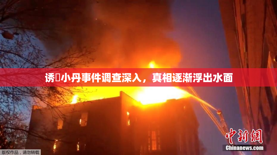 诱奷小丹事件调查深入，真相逐渐浮出水面