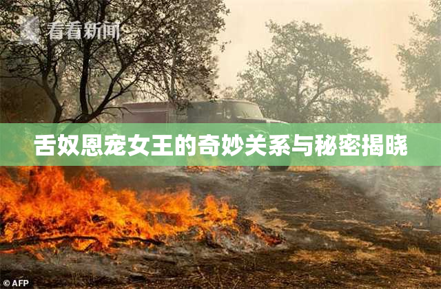 舌奴恩宠女王的奇妙关系与秘密揭晓