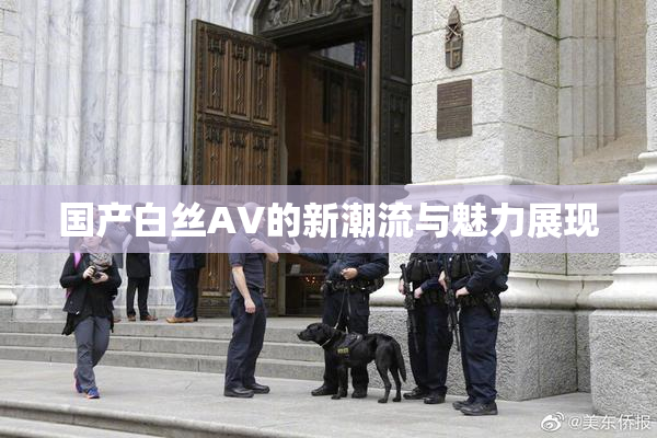 国产白丝AV的新潮流与魅力展现