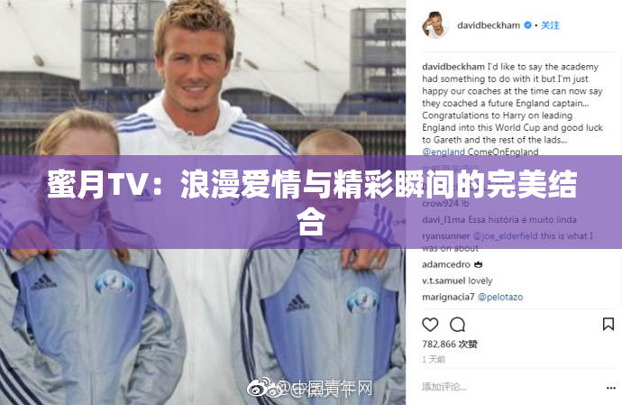蜜月TV：浪漫爱情与精彩瞬间的完美结合