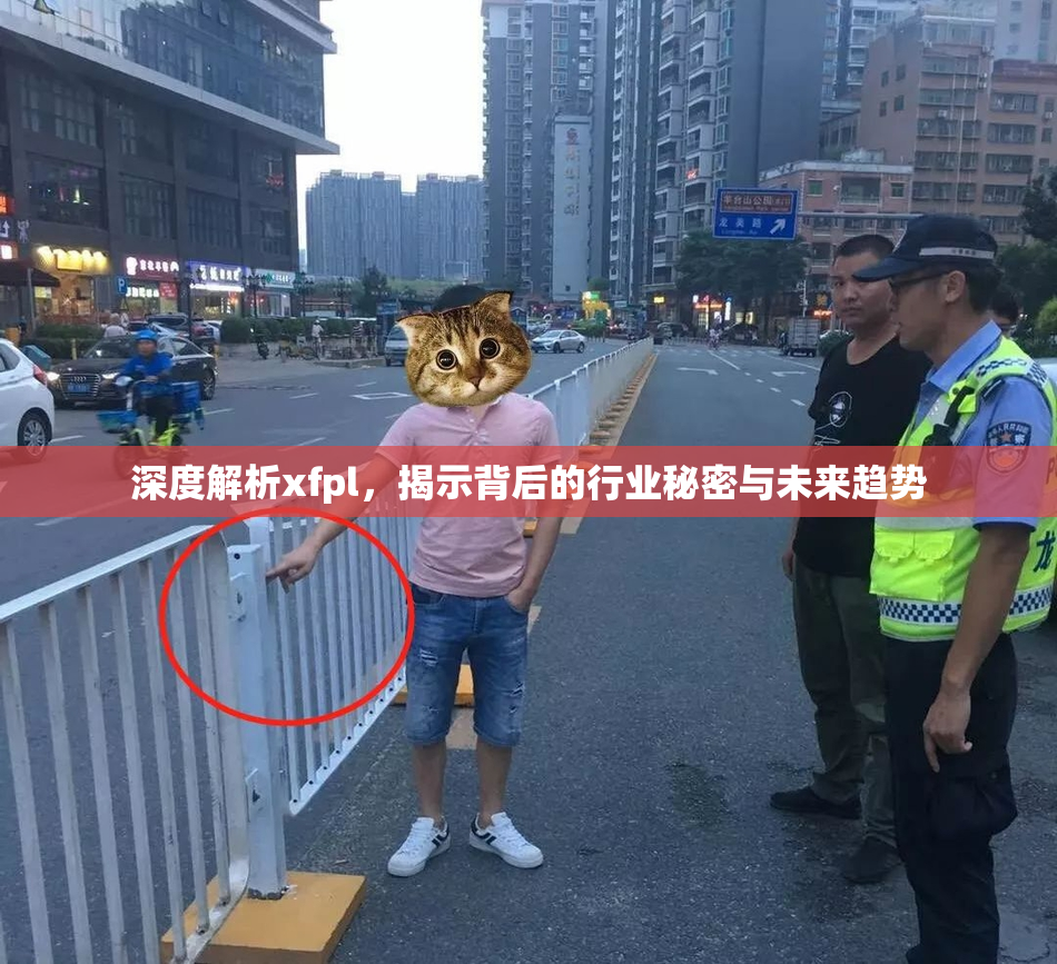 深度解析xfpl，揭示背后的行业秘密与未来趋势