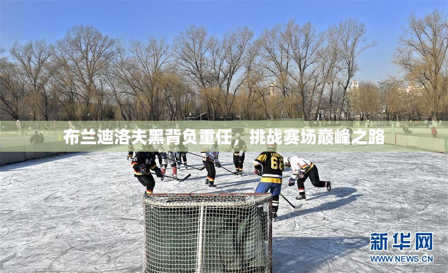 布兰迪洛夫黑背负重任，挑战赛场巅峰之路
