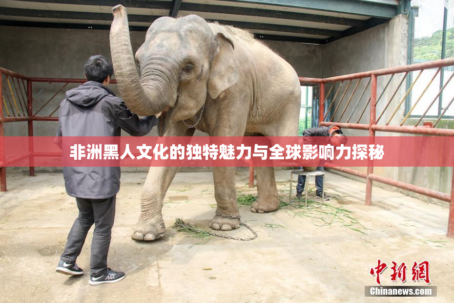 非洲黑人文化的独特魅力与全球影响力探秘