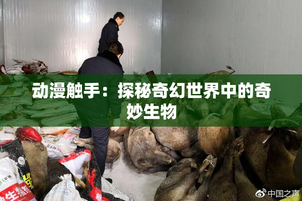 动漫触手：探秘奇幻世界中的奇妙生物