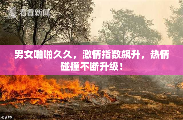 男女啪啪久久，激情指数飙升，热情碰撞不断升级！