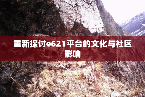 重新探讨e621平台的文化与社区影响