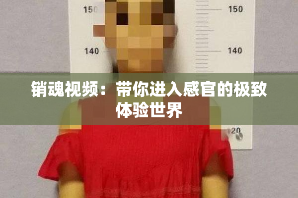 销魂视频：带你进入感官的极致体验世界