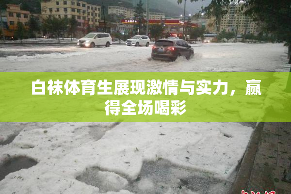 白袜体育生展现激情与实力，赢得全场喝彩