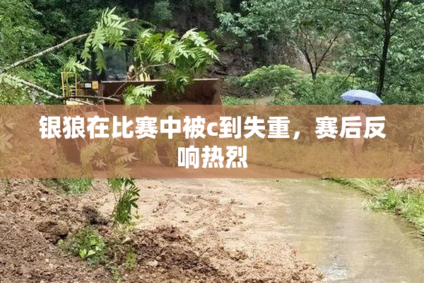 银狼在比赛中被c到失重，赛后反响热烈