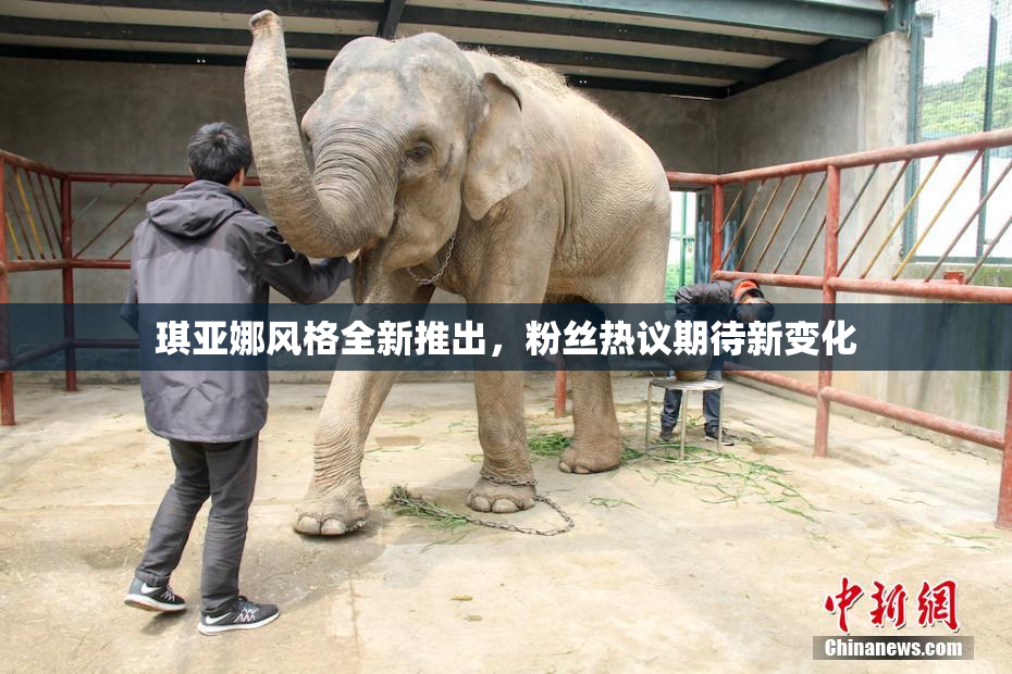 琪亚娜风格全新推出，粉丝热议期待新变化