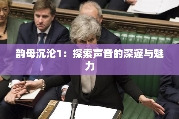 韵母沉沦1：探索声音的深邃与魅力
