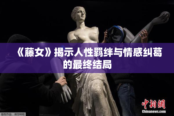 《藤女》揭示人性羁绊与情感纠葛的最终结局