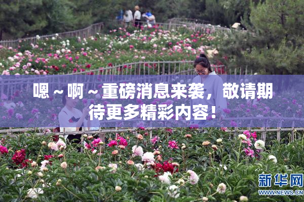 嗯～啊～重磅消息来袭，敬请期待更多精彩内容！