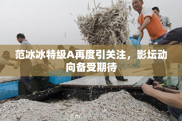 范冰冰特级A再度引关注，影坛动向备受期待