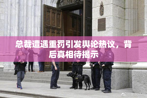 总裁遭遇重罚引发舆论热议，背后真相待揭示