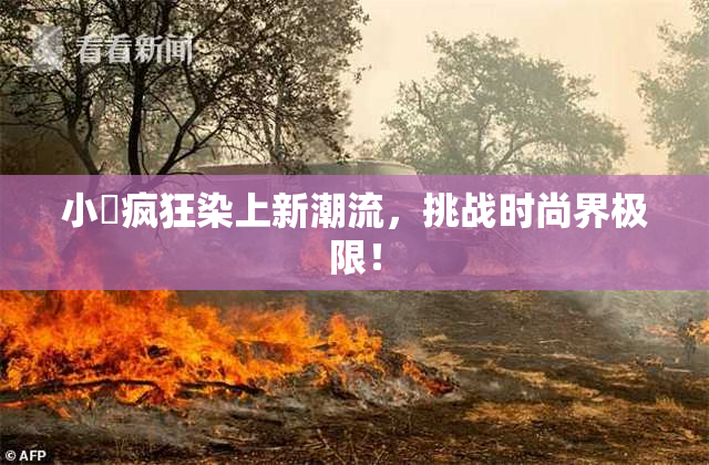 小泬疯狂染上新潮流，挑战时尚界极限！