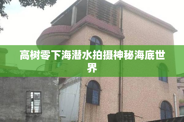 高树零下海潜水拍摄神秘海底世界