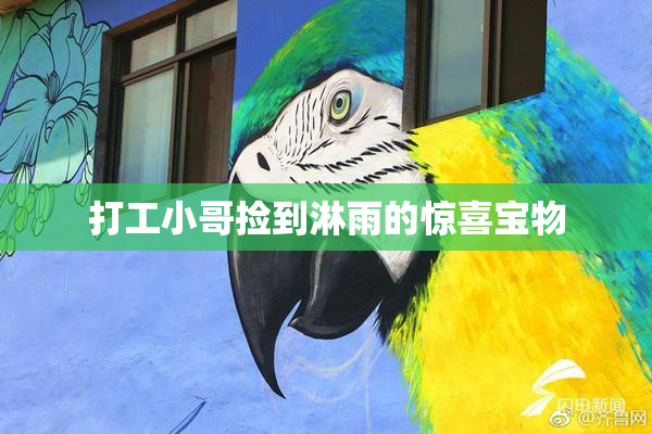 打工小哥捡到淋雨的惊喜宝物