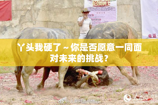 丫头我硬了～你是否愿意一同面对未来的挑战？