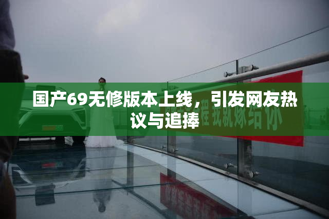 国产69无修版本上线，引发网友热议与追捧