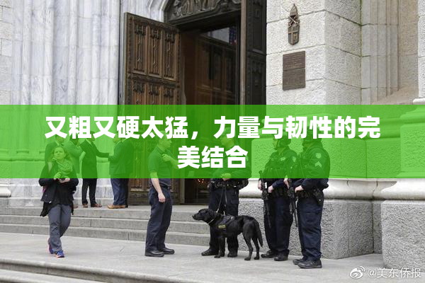 又粗又硬太猛，力量与韧性的完美结合