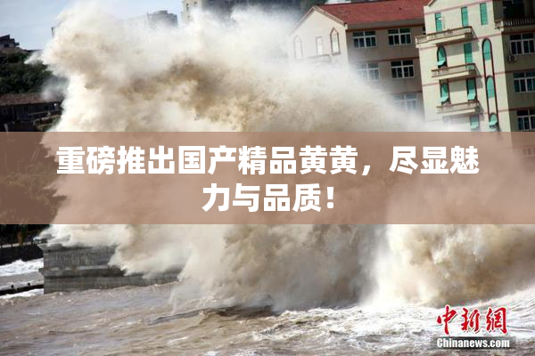重磅推出国产精品黄黄，尽显魅力与品质！