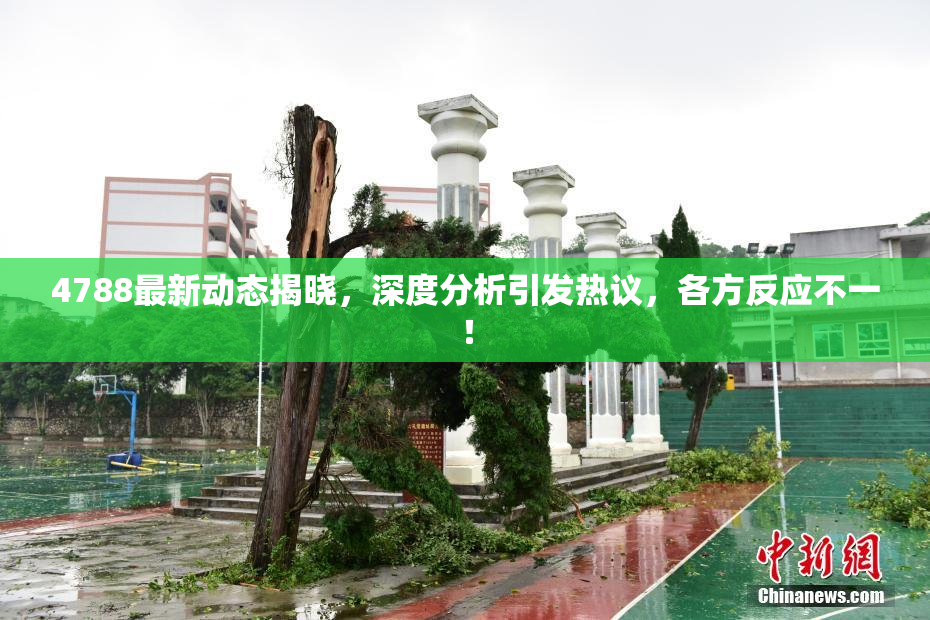 4788最新动态揭晓，深度分析引发热议，各方反应不一！