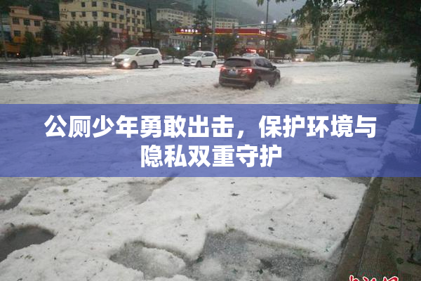 公厕少年勇敢出击，保护环境与隐私双重守护
