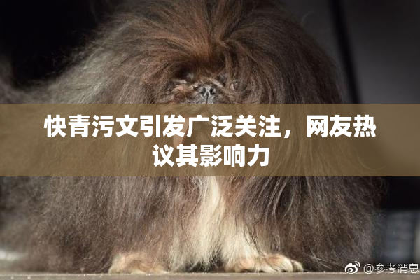 快青污文引发广泛关注，网友热议其影响力