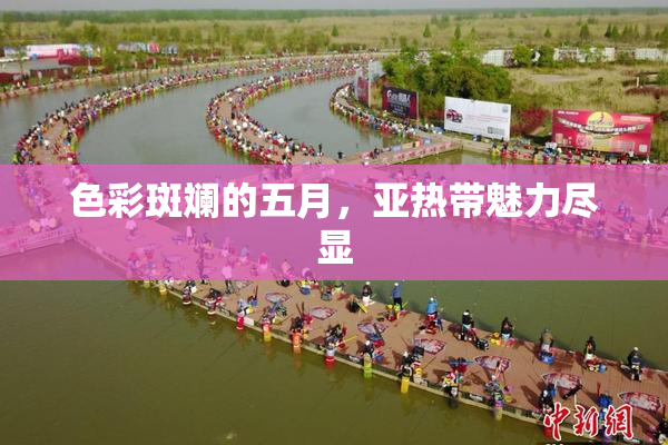 色彩斑斓的五月，亚热带魅力尽显