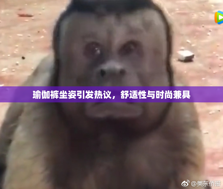 瑜伽裤坐姿引发热议，舒适性与时尚兼具