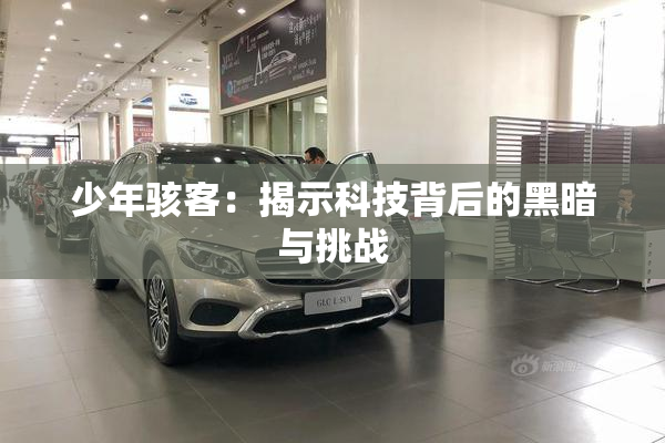 少年骇客：揭示科技背后的黑暗与挑战