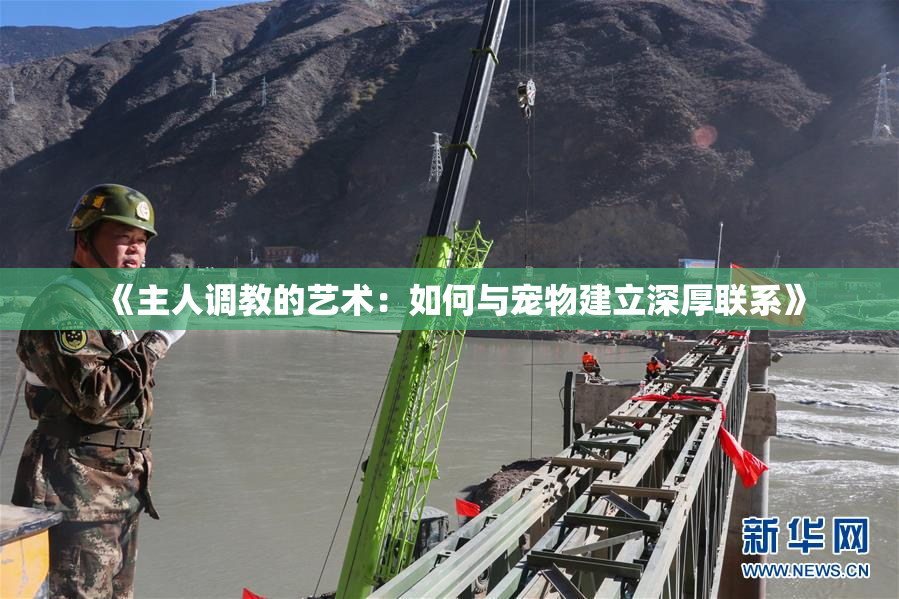 《主人调教的艺术：如何与宠物建立深厚联系》
