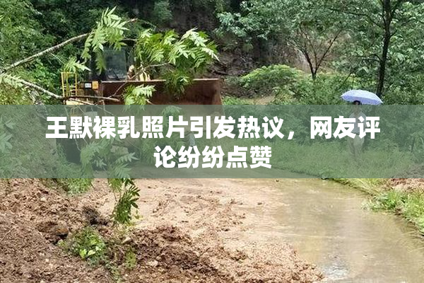 王默裸乳照片引发热议，网友评论纷纷点赞