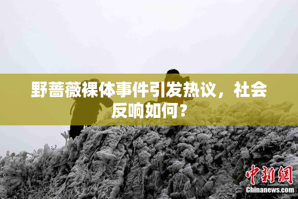 野蔷薇裸体事件引发热议，社会反响如何？