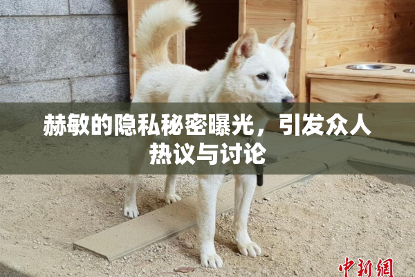 赫敏的隐私秘密曝光，引发众人热议与讨论