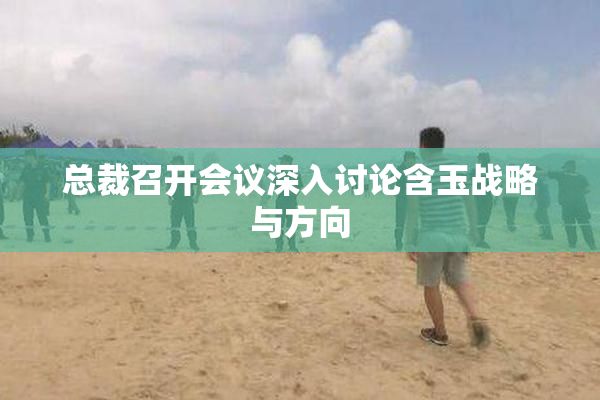 总裁召开会议深入讨论含玉战略与方向