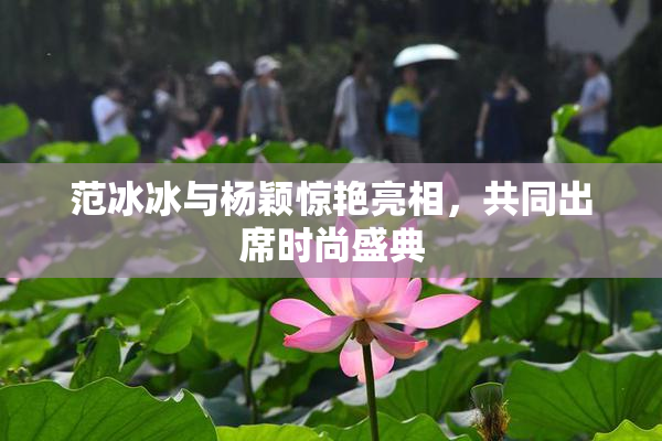 范冰冰与杨颖惊艳亮相，共同出席时尚盛典