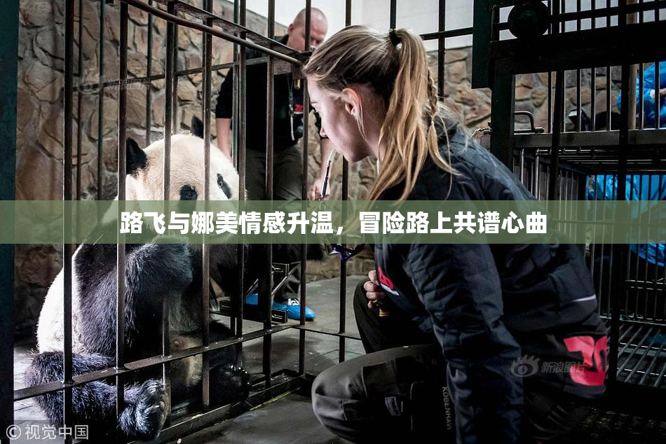 路飞与娜美情感升温，冒险路上共谱心曲
