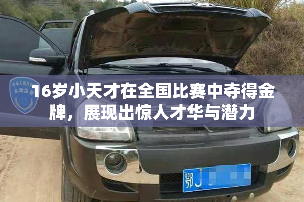 16岁小天才在全国比赛中夺得金牌，展现出惊人才华与潜力