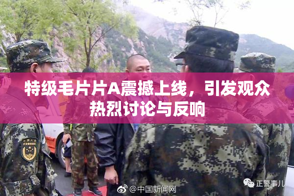 特级毛片片A震撼上线，引发观众热烈讨论与反响