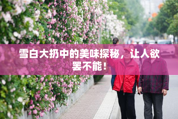雪白大扔中的美味探秘，让人欲罢不能！