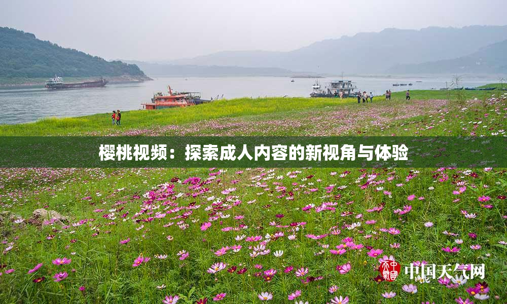 樱桃视频：探索成人内容的新视角与体验