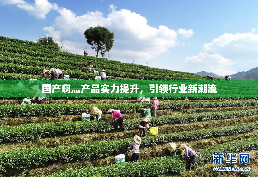 国产啊灬产品实力提升，引领行业新潮流